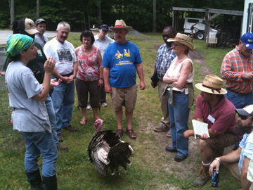 Poultry WS